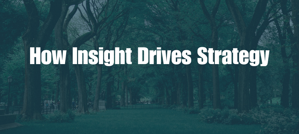How Insight Drives Strategy