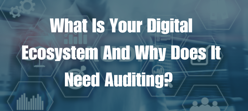 Digital Ecosystem Audits